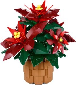 poinsettia 10370