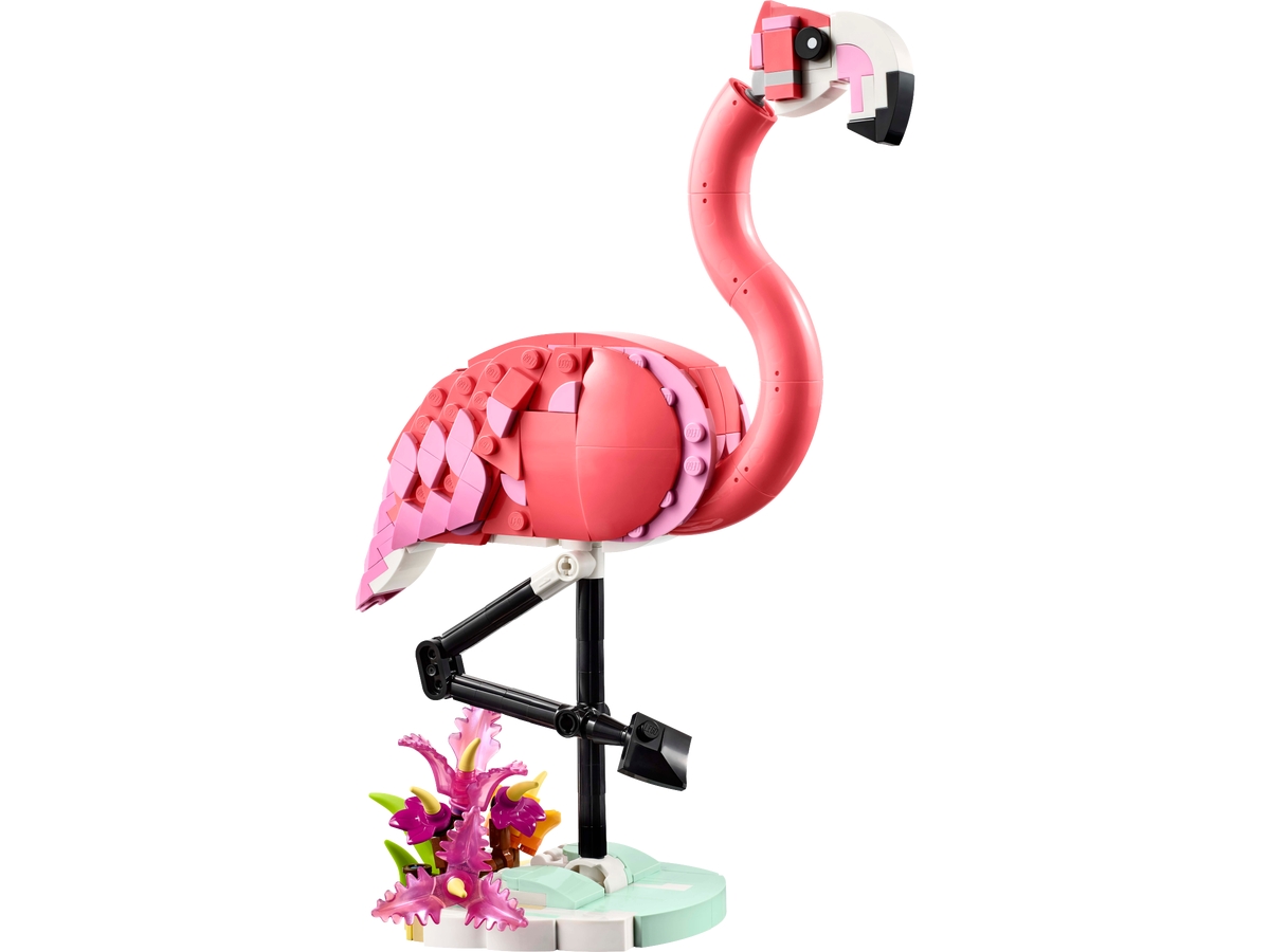 wild animals pink flamingo 31170